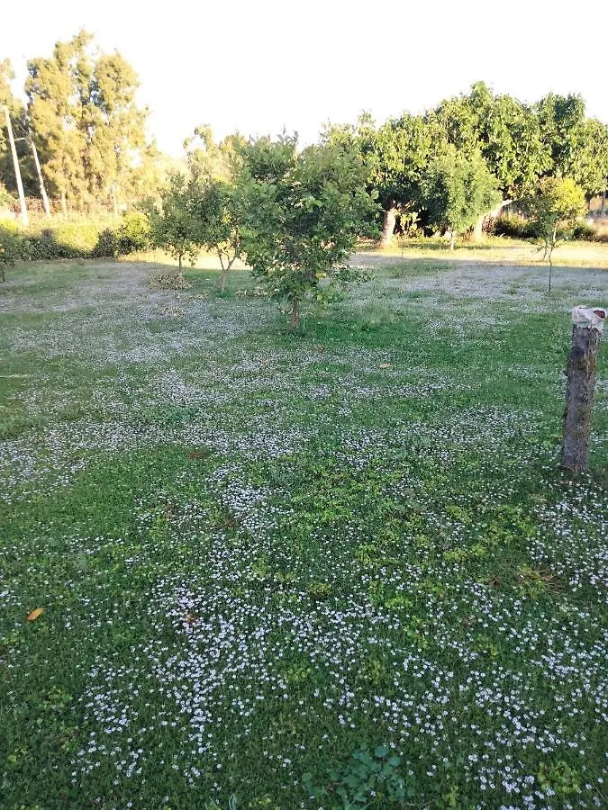 Agriturismo I Doni Del Mandorlo Alguer 0*,