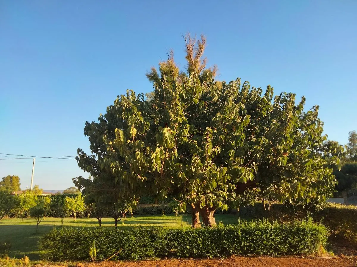 Agriturismo I Doni Del Mandorlo 阿尔盖罗 0*,  意大利